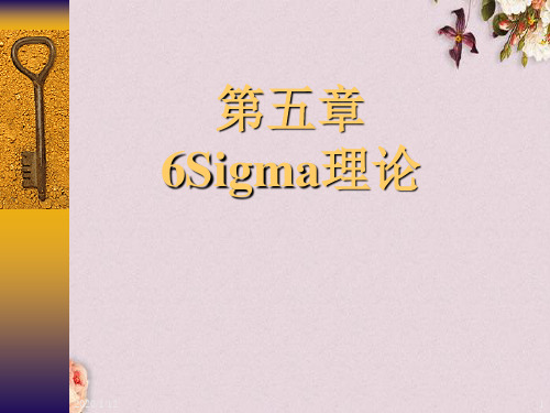 6Sigma的概述及实施案例(ppt 184页)