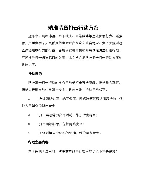 精准清查打击行动方案