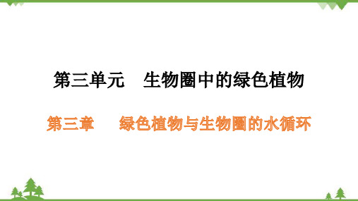 2022年中考生物一轮复习第三单元 第三章习题课件(共20张PPT)