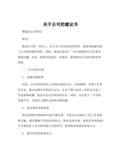 关于公司的建议书