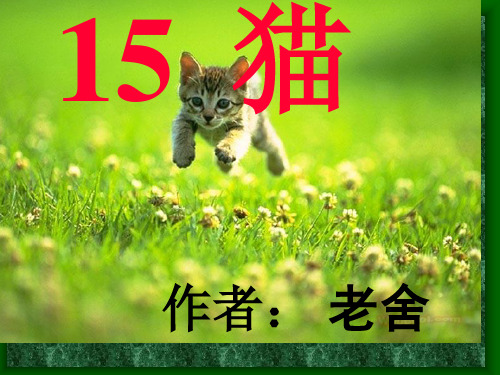 (公开课课件)四年级上册语文《猫》(共25张PPT)