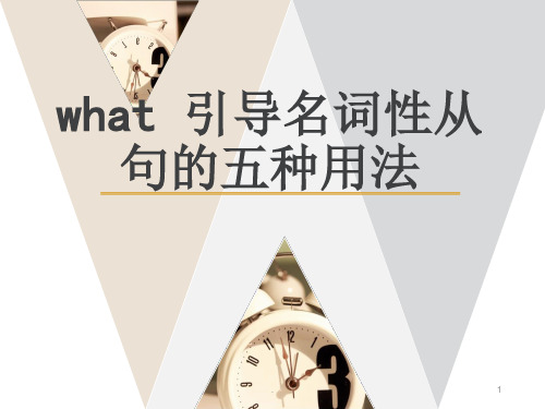 what引导名词性从句的用法