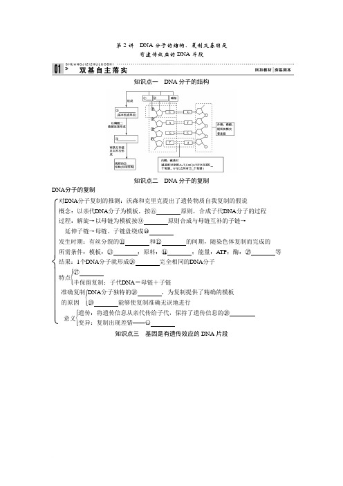 高中生物 第2讲DNA分子的结构