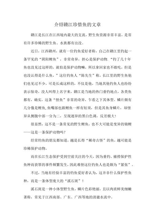 介绍赣江珍惜鱼的文章