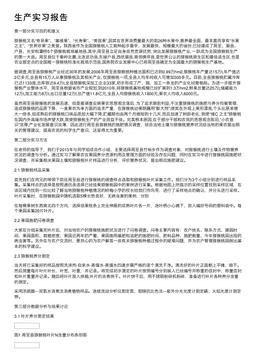 生产实习报告