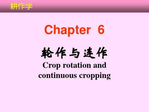 耕作学Chapter 6