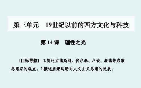 岳麓版高中历史必修3第14课理性之光 