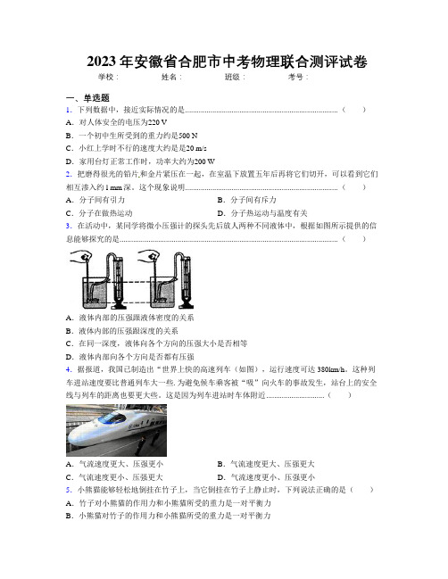 最新2023年安徽省合肥市中考物理联合测评试卷及解析