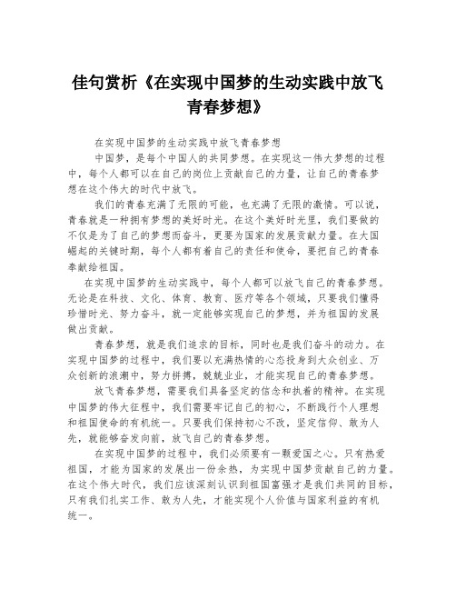 佳句赏析《在实现中国梦的生动实践中放飞青春梦想》