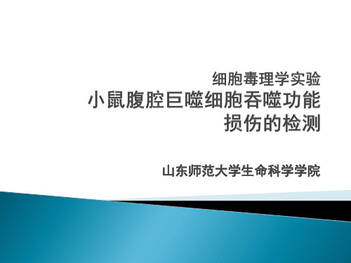 细胞毒理学实验四小鼠腹腔巨噬细胞吞噬功能损伤的检测