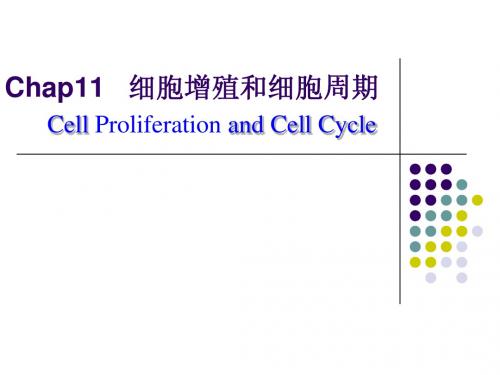 细胞生物学：第11章 细胞分裂