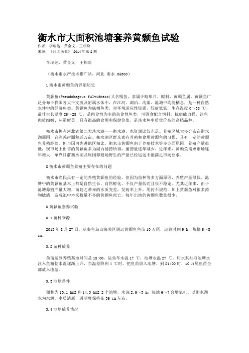 衡水市大面积池塘套养黄颡鱼试验