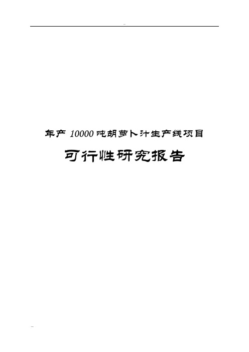 胡萝卜汁生产线项目可行性研究报告