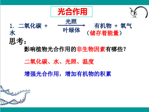 第三节植物光合作用的实质课件苏教版生物七年级上册