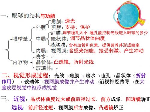 北师大版七年级生物下册《4单元 生物圈中的人  第十二章 人体的自我调节  第3节 激素调节》公开课课件_4