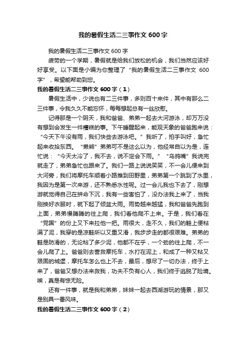 我的暑假生活二三事作文600字