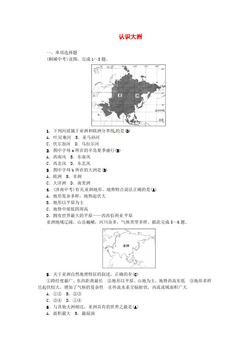 2019年中考地理七年级部分第6章认识大洲复习练习