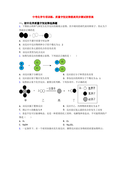 中考化学专项训练：质量守恒定律提高同步测试附答案