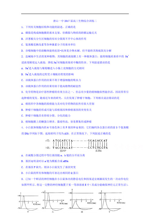 河北省唐山市第一中学2017届高三综合训练二生物练习 