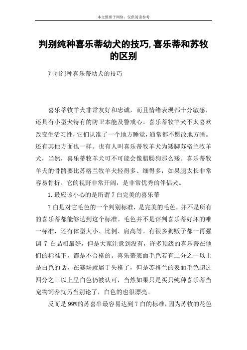 判别纯种喜乐蒂幼犬的技巧,喜乐蒂和苏牧的区别