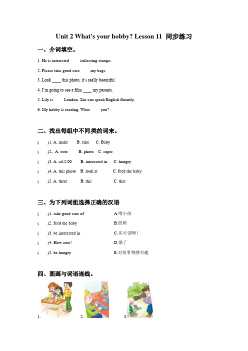 Unit 2 What's your hobby Lesson 11 同步练习 2
