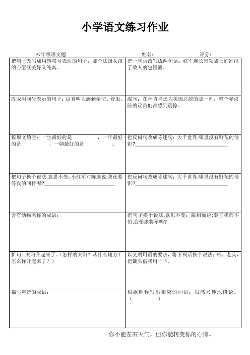 小学六年级语文素养提升练习24 (130)