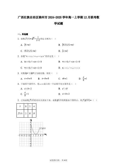广西壮族自治区柳州市2024-2025学年高一上学期12月联考数学试题
