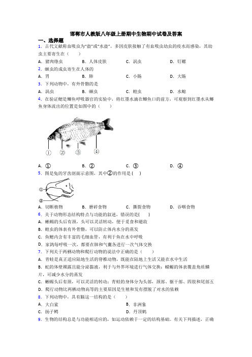 邯郸市人教版八年级上册期中生物期中试卷及答案