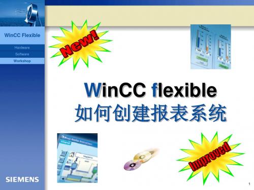 Winccflexible报表