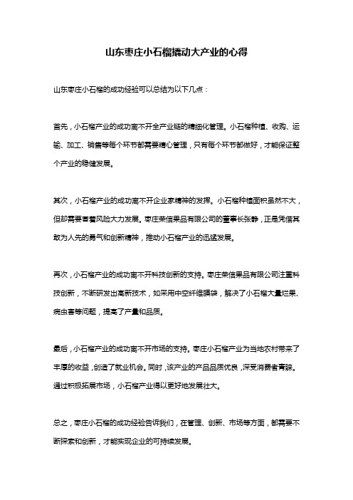 山东枣庄小石榴撬动大产业的心得