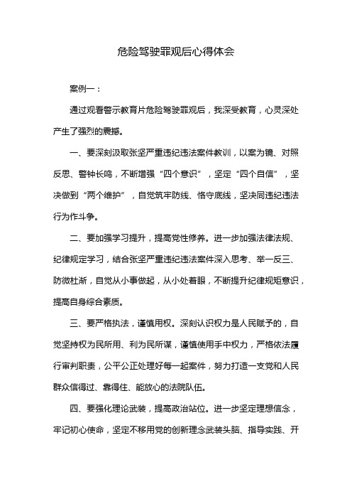 危险驾驶罪观后心得体会