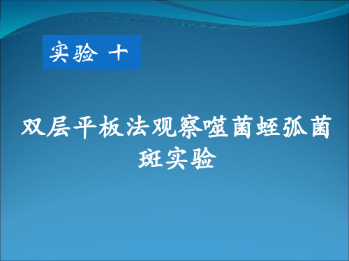 实验十 双层平板法观察蛭弧菌斑实验