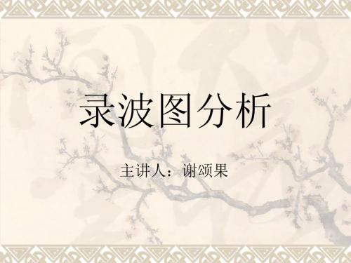 录波图讲义