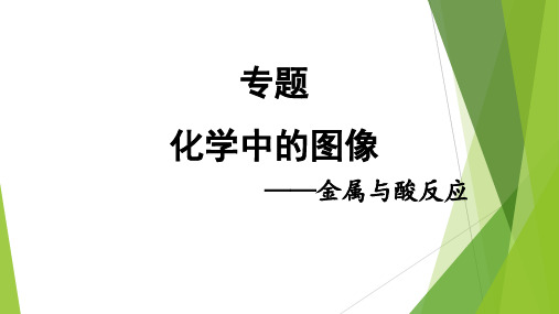 2024年中考化学专题复习金属与酸反应的图像分析说课课件