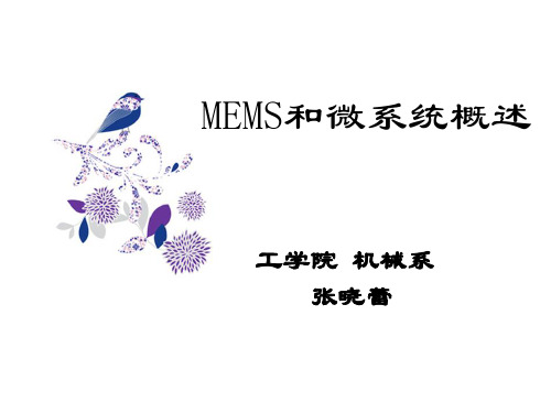 MEMS和微系统概述