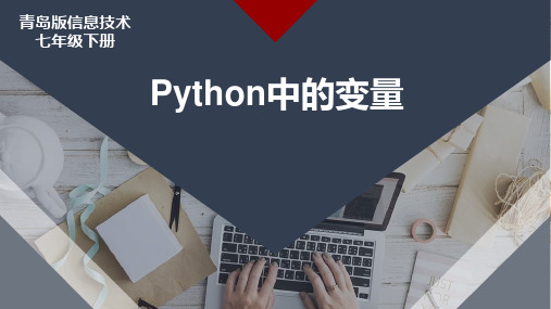 初中信息技术_python中的变量教学课件设计