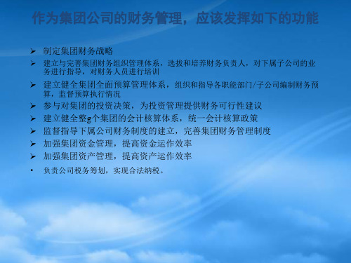 精选某咨询某公司做的财务管理诊断