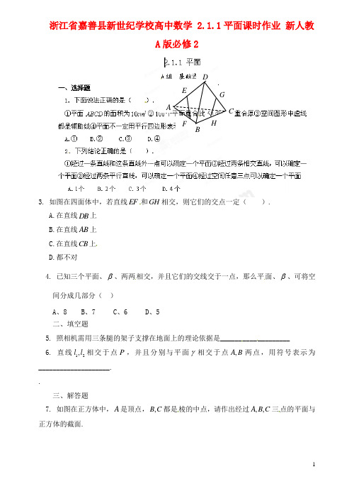 浙江省嘉善县新世纪学校高中数学 2.1.1平面课时作业 