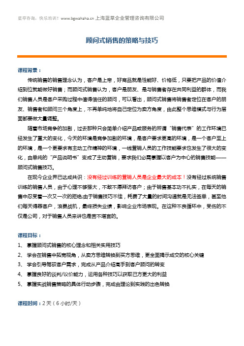 《顾问式销售策略与技巧》