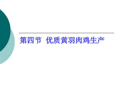 (禽生产学课件)第四节优质黄羽肉鸡生产