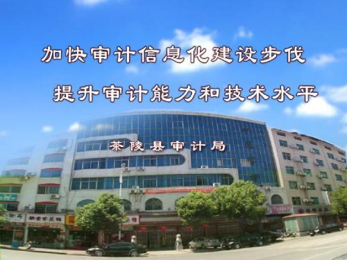 加快审计信息化建设步伐 提升审计能力和水平