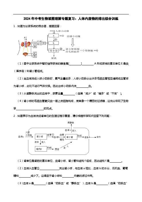 2024年中考生物读图理解专题复习：人体内废物的排出综合训练