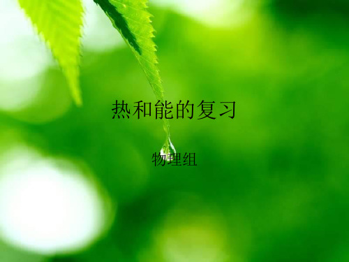 中考复习内能和内能的利用说课稿.ppt
