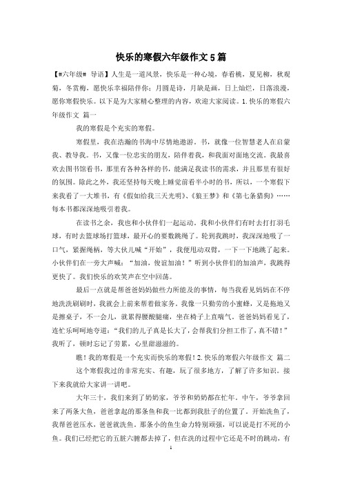 快乐的寒假六年级作文5篇