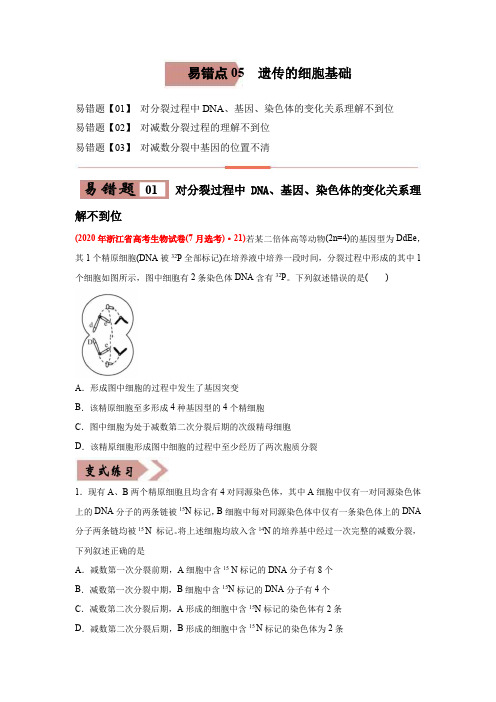 高中生物高考易错点05 遗传的细胞基础-2021年高考生物一轮复习易错题(学生版)