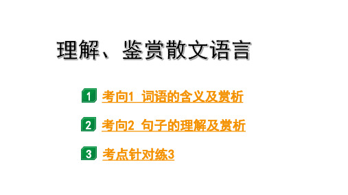 2024成都语文中考试题研究备考专题一 考点3  理解、鉴赏散文语言