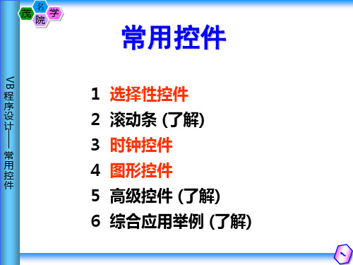 VB编程6.0 常用控件