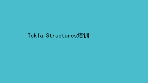 Tekla Structures培训