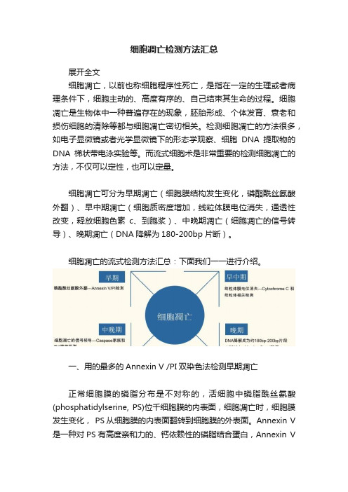 细胞凋亡检测方法汇总