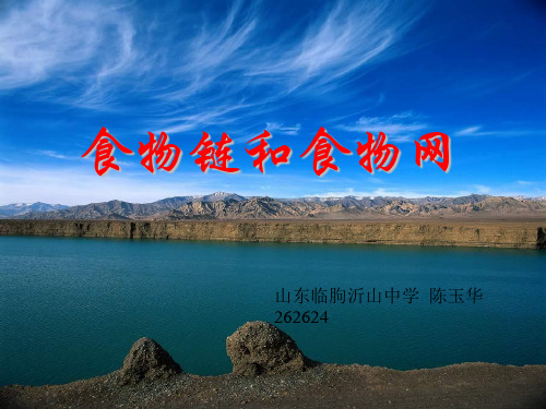 八年级生物食物链和食物网课件济南版